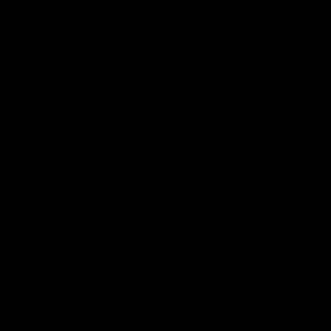 Kopp Kapp profile icon