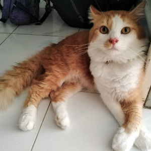 Thitanun profile icon