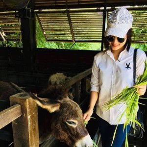 Pocky Pocky profile icon