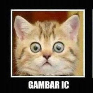 amniey noniey profile icon