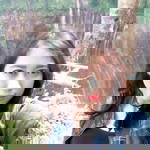 Gabriella Alfa profile icon