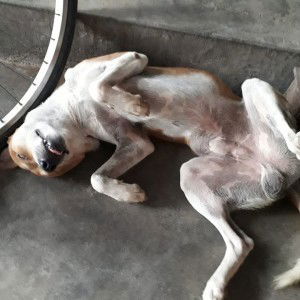 Ut Hien profile icon