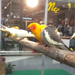 San Granmoter profile icon