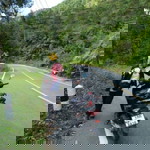 Farihanim Kamaruzzam profile icon