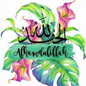 Nur Amanina Amy profile icon