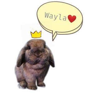 Way La profile icon