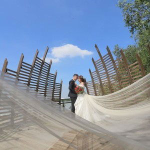 Tuyết Lan profile icon