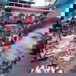 Suttinee Phawanathammasuk profile icon