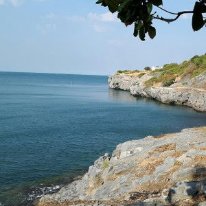 ผกาเนตร profile icon