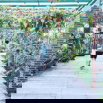 Vincentius Febrian Erikson profile icon