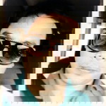 Sittipan Bourlerd profile icon