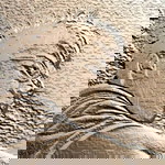 Theera Srikanlayakul profile icon