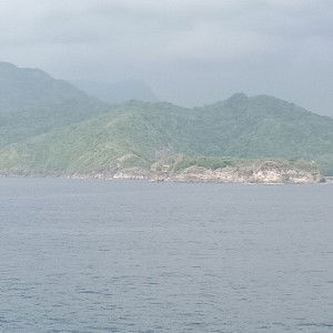 daisy ann asis profile icon