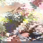 Idha Wulandari Dawul profile icon