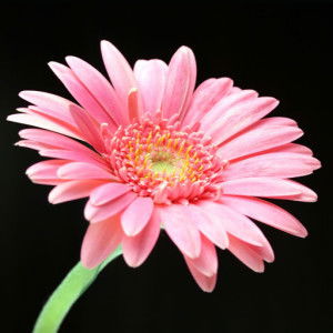 sulanurmawati profile icon