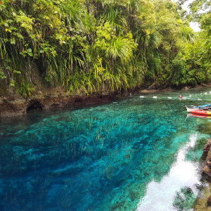 Michelle profile icon