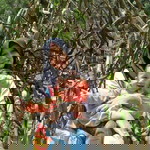 Monalisa Devika Sari profile icon