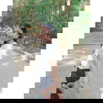 Suwanni Miseti profile icon