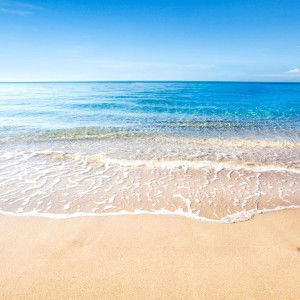 Via Vespa profile icon