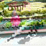 Cherie Ann Martinez Pobadora profile icon