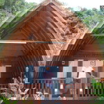 Diah Saputri profile icon