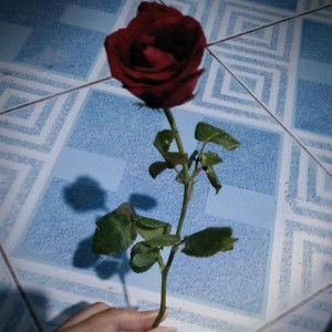 Lhalabs Bells profile icon