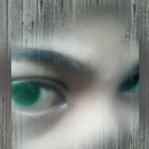 Flordelisa Siason profile icon