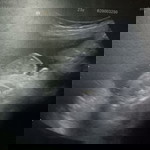Spr profile icon