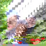 Yuni Rahman profile icon