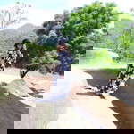 แมวเหมียว สีหม่น profile icon