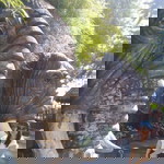 April YC profile icon