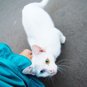 Nada Salsabila profile icon