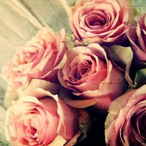 azeera mohamad profile icon