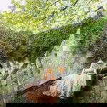 Che Wan Nor Shahirah profile icon