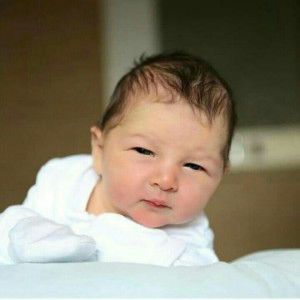 Darwich absyar profile icon