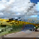 อิสรา จำนวน profile icon