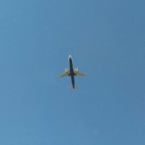 Anne Ella profile icon