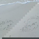 Tyaa Chann profile icon