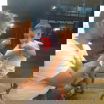 Greta Gargoyles profile icon