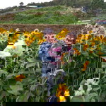 Mia Ezekiel profile icon