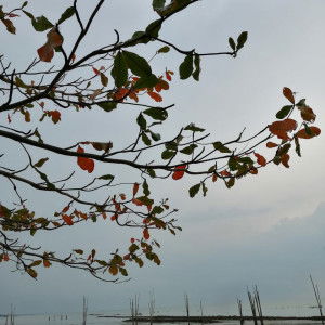 mommytobe profile icon