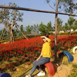 Ánh Tran profile icon