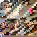 Lynn Koh profile icon