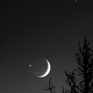 Nadya Kusumah Wardhani profile icon