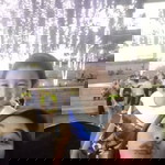 Patricia Nicole Abesamis profile icon