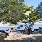 Ria Amalya profile icon