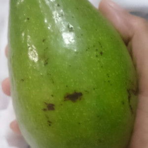 atik hidayati profile icon