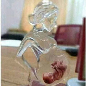 Mary Ampere Cancino profile icon