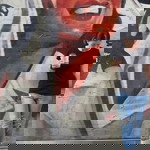 Som Arunothai profile icon