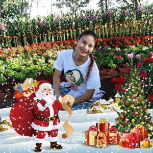 อนุสรา ช่างถม profile icon